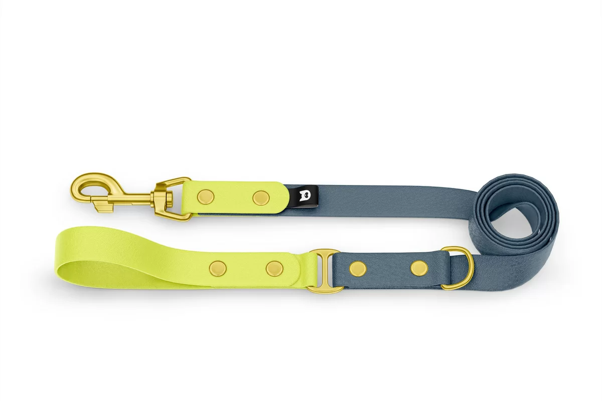 Dog Leash Duo: Neon yellow & Petrol with Gold components