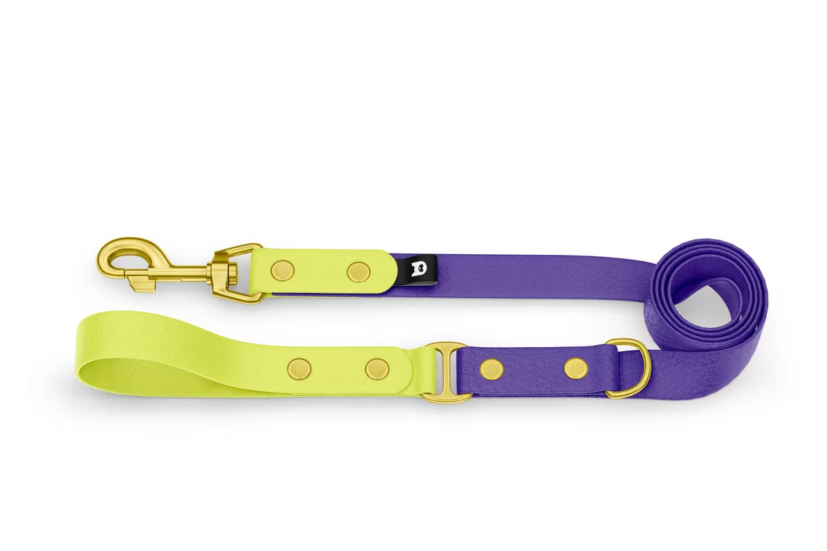 Dog Leash Duo: Neon yellow & Purple with Gold components