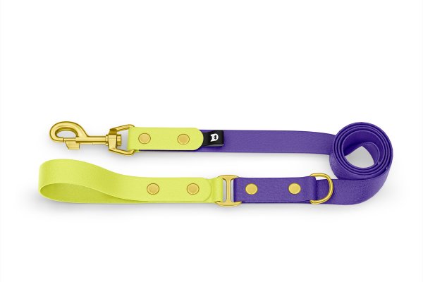 Dog Leash Duo: Neon yellow & Purpur with Gold components