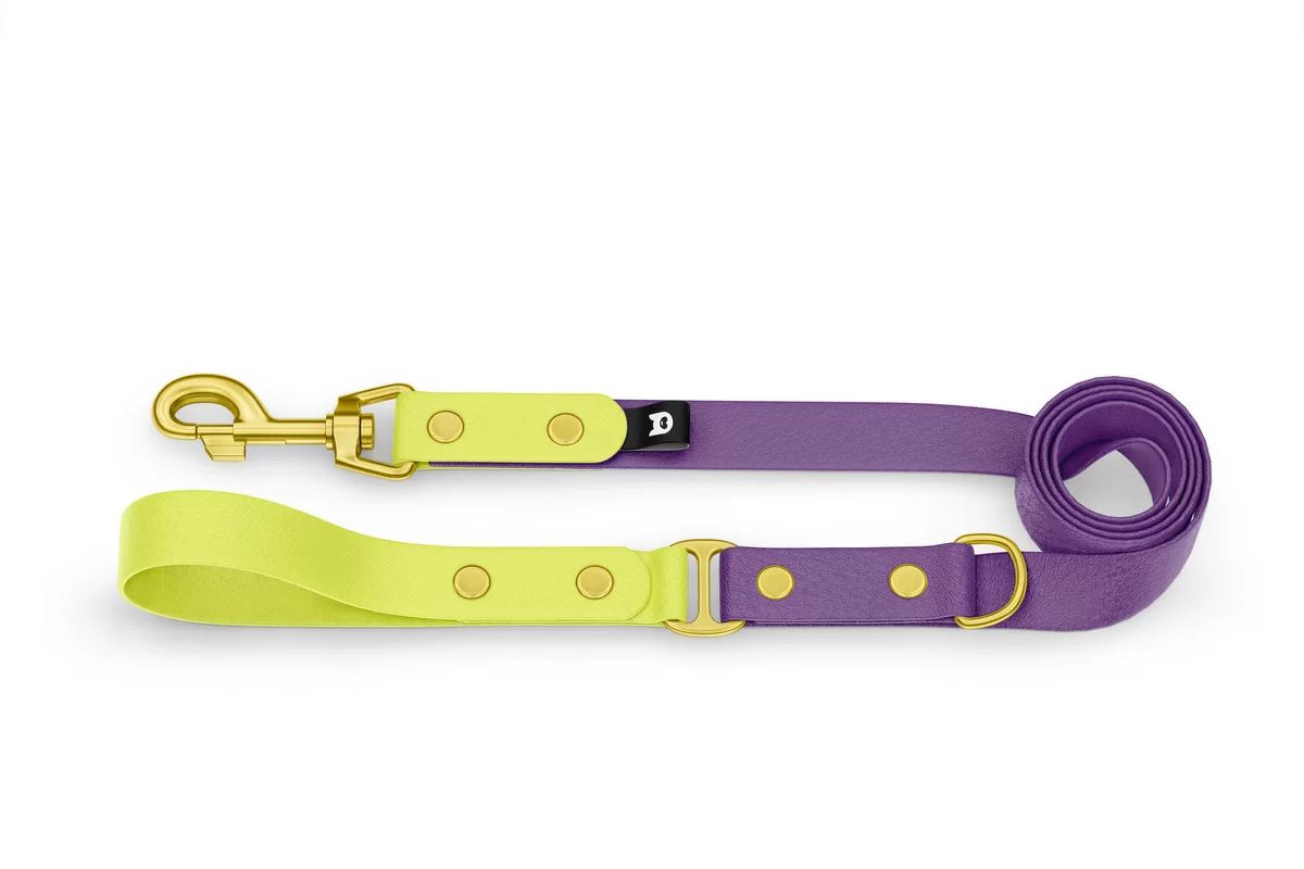 Dog Leash Duo: Neon yellow & Purpur with Gold components
