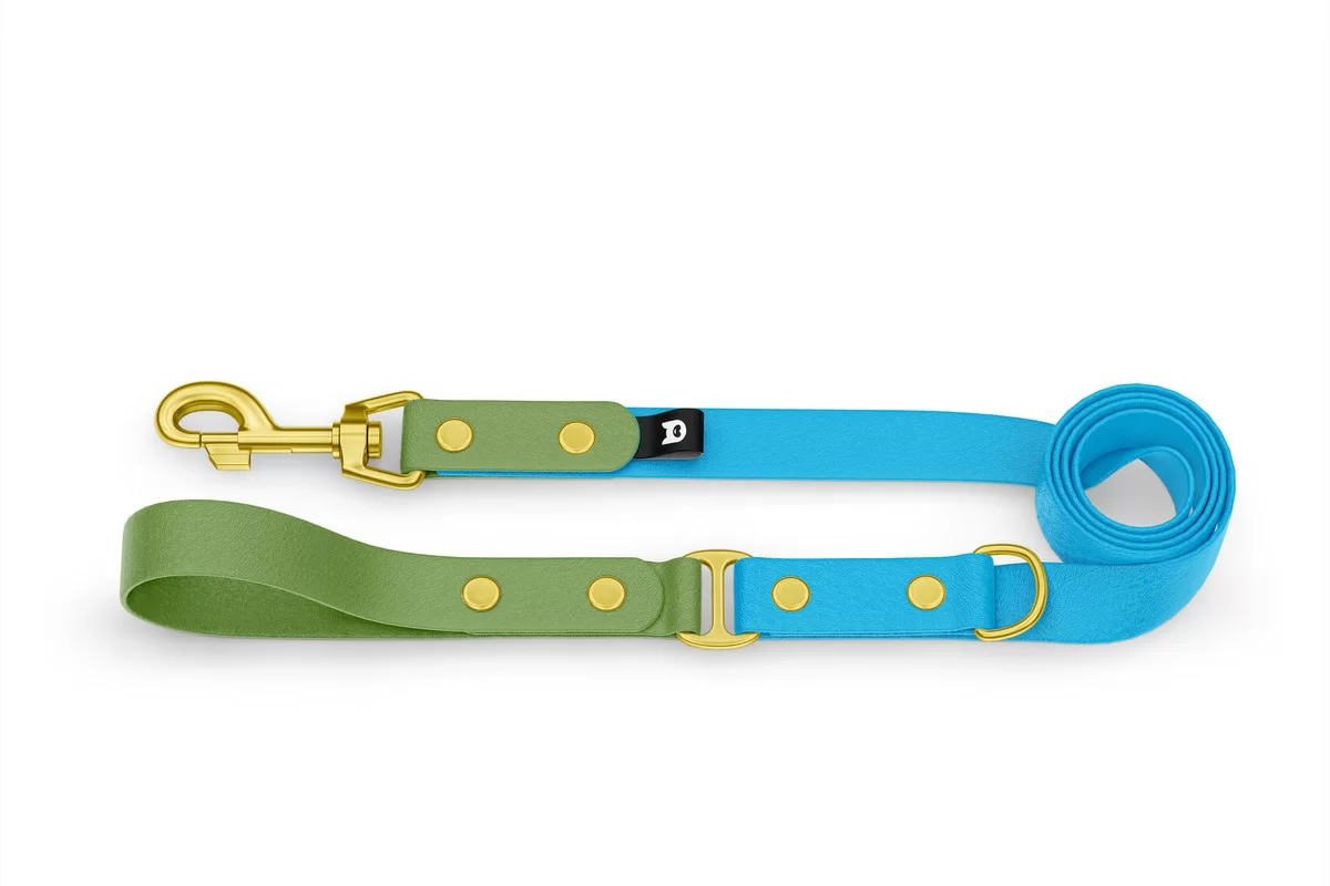 Dog Leash Duo: Olive & Light blue with Gold components