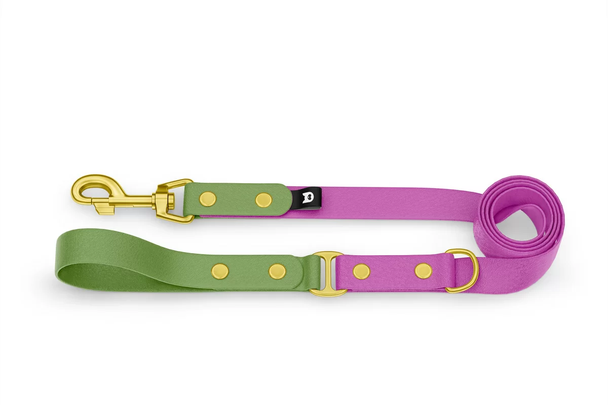 Dog Leash Duo: Olive & Light purple with Gold components