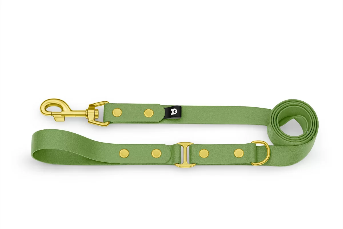 Dog Leash Duo: Olive & Olive with Gold components