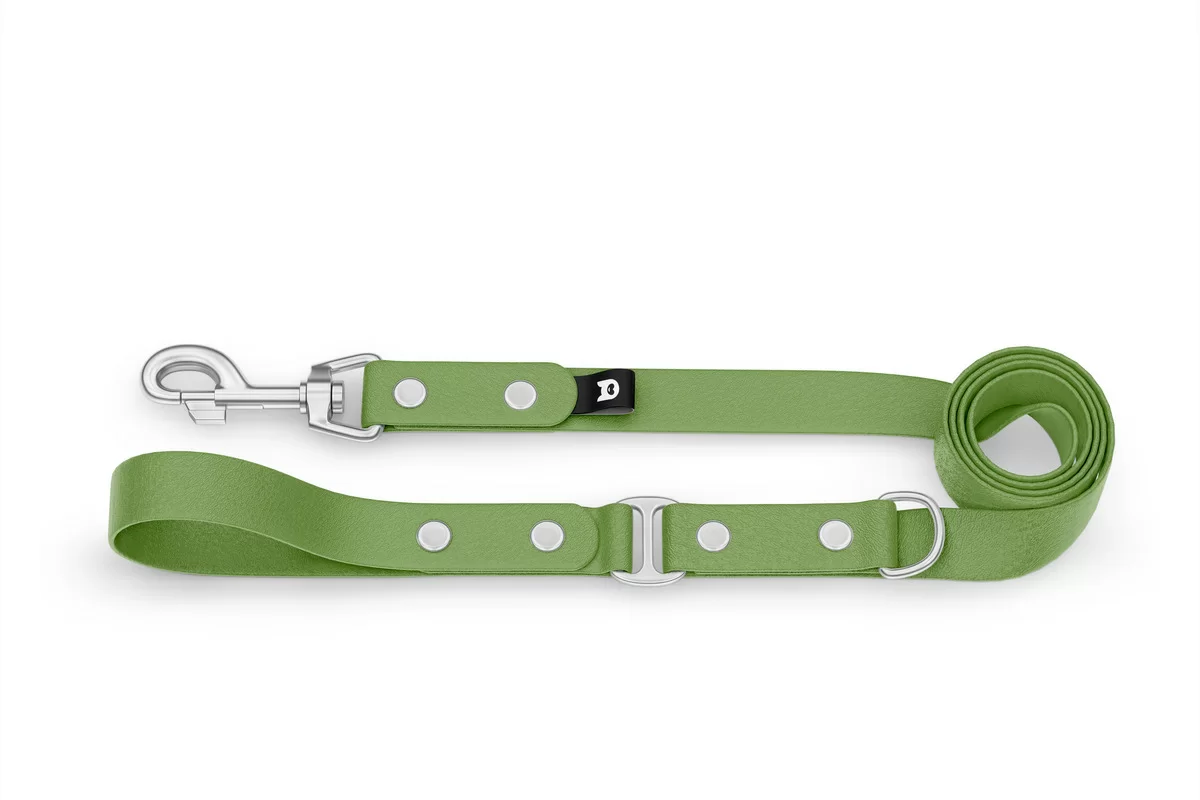 Dog Leash Duo: Olive & Olive with Silver components