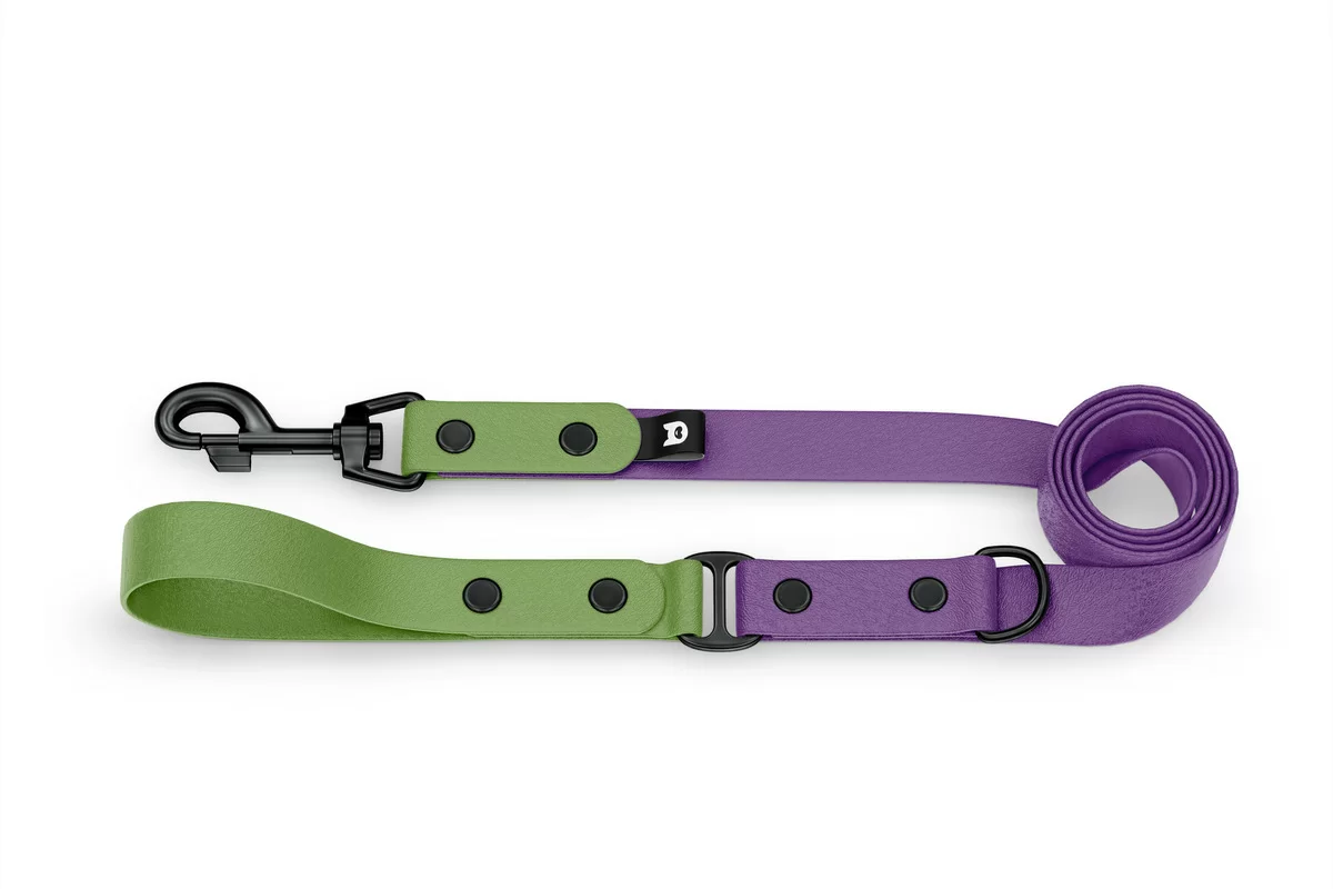 Dog Leash Duo: Olive & Purpur with Black components