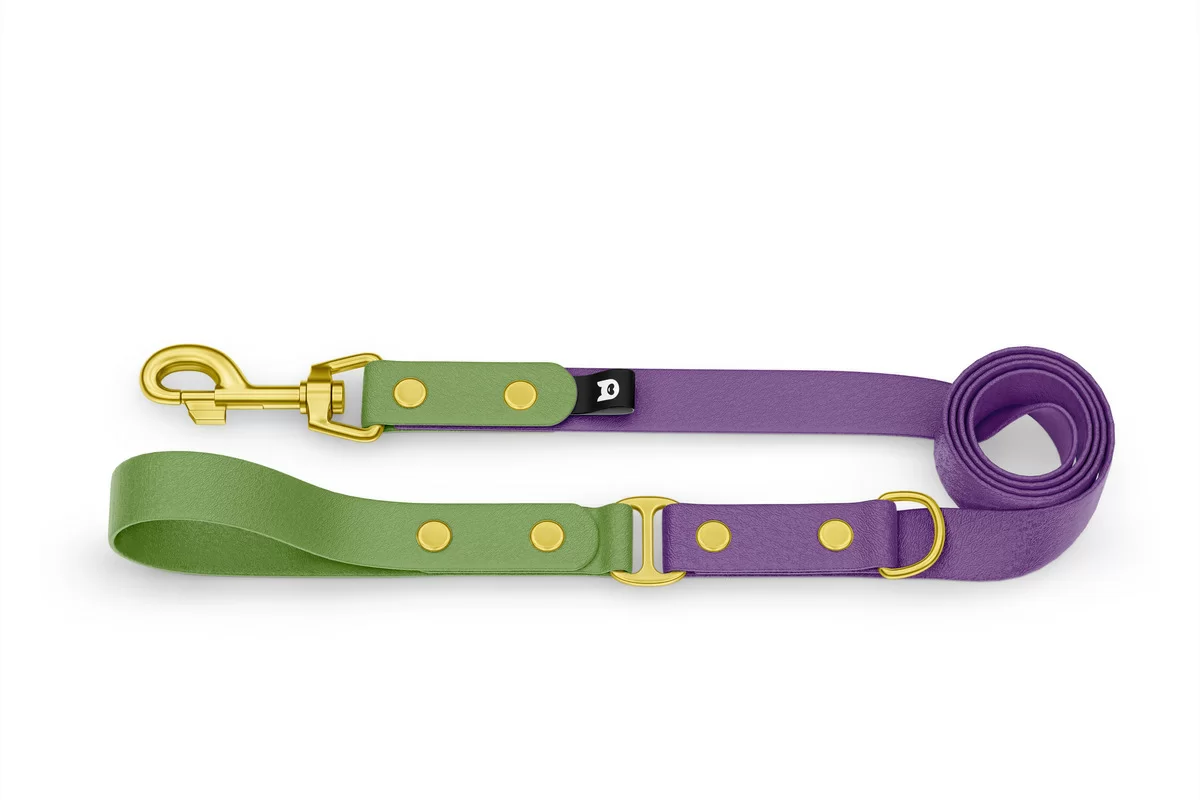 Dog Leash Duo: Olive & Purpur with Gold components