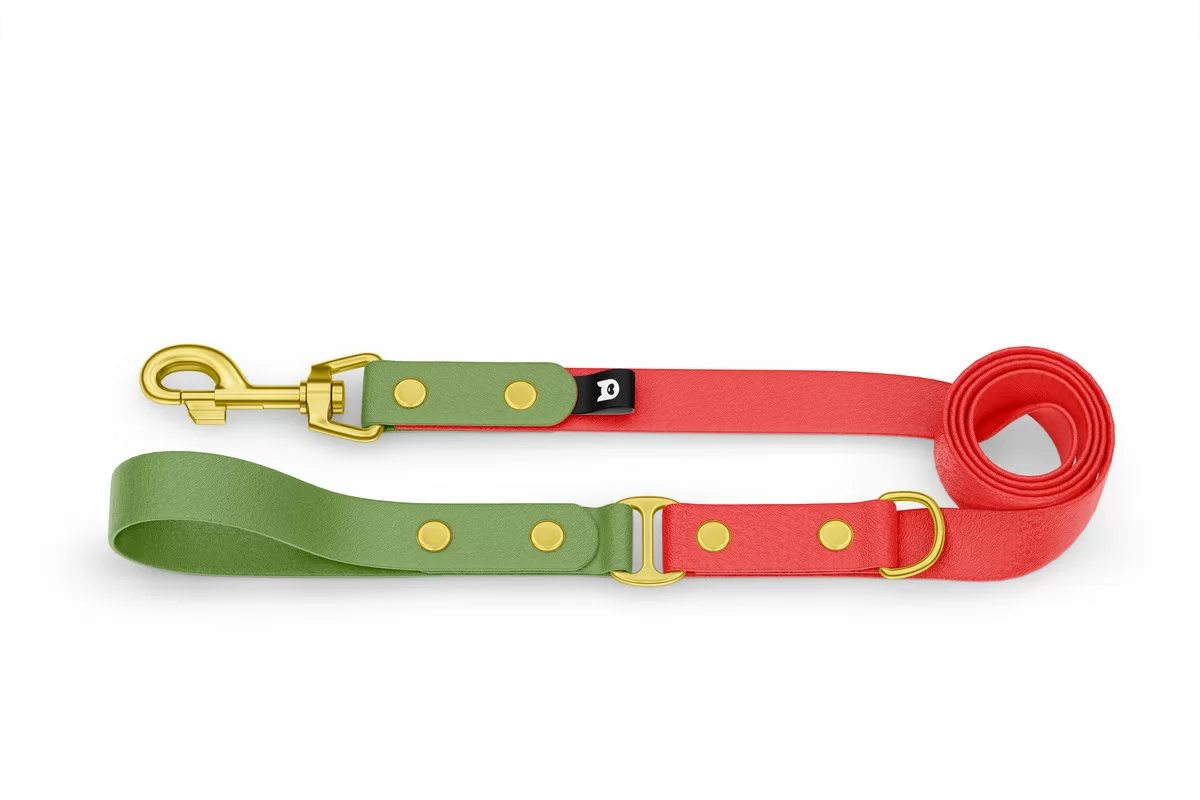 Dog Leash Duo: Olive & Red with Gold components