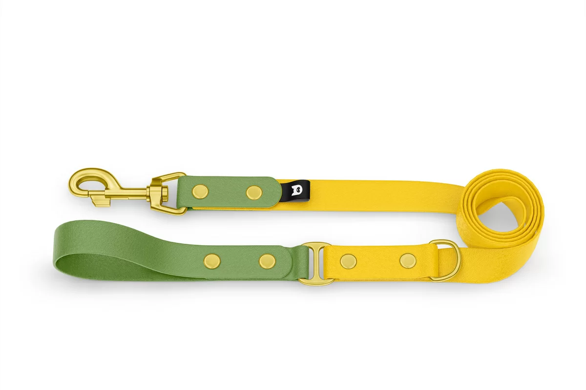 Dog Leash Duo: Olive & Yellow with Gold components