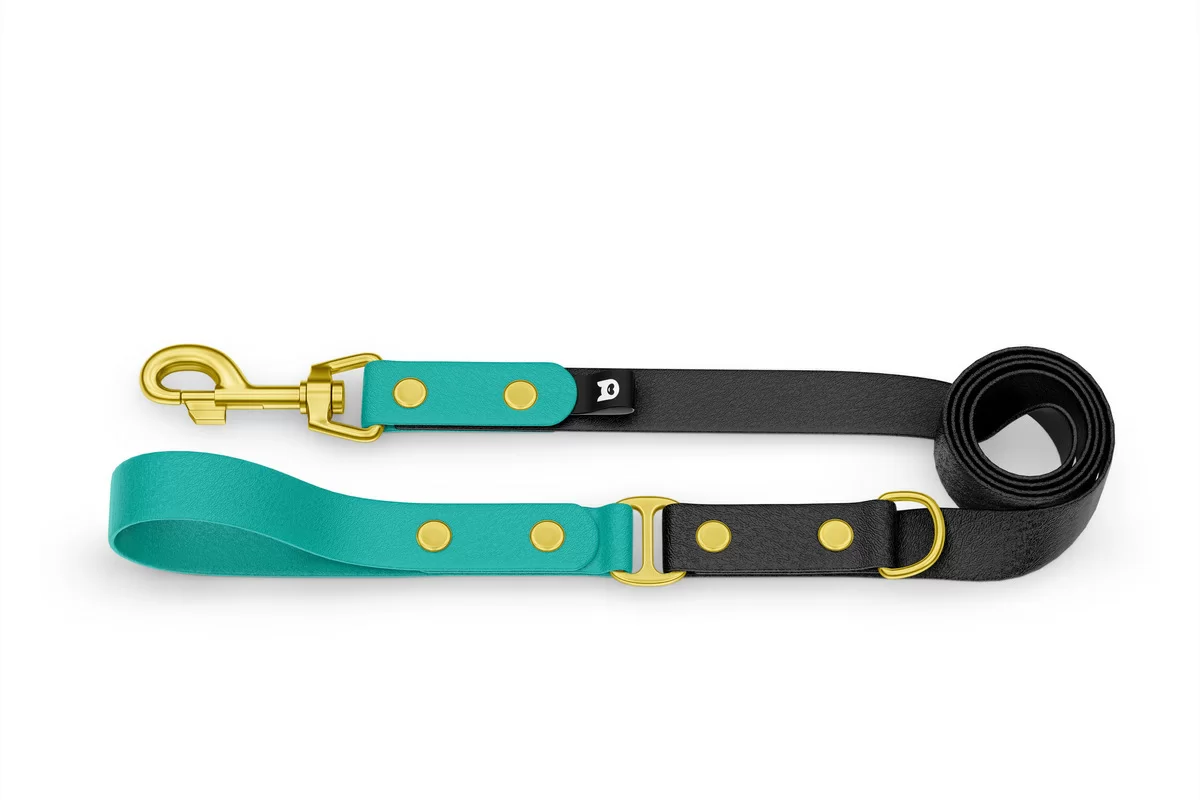 Dog Leash Duo: Pastel green & Black with Gold components