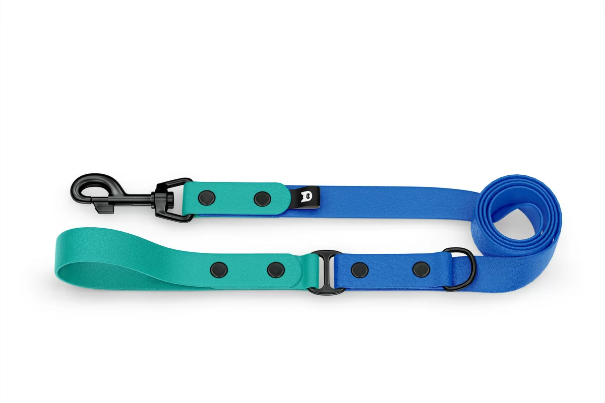 Dog Leash Duo: Pastel green & Blue with Black components