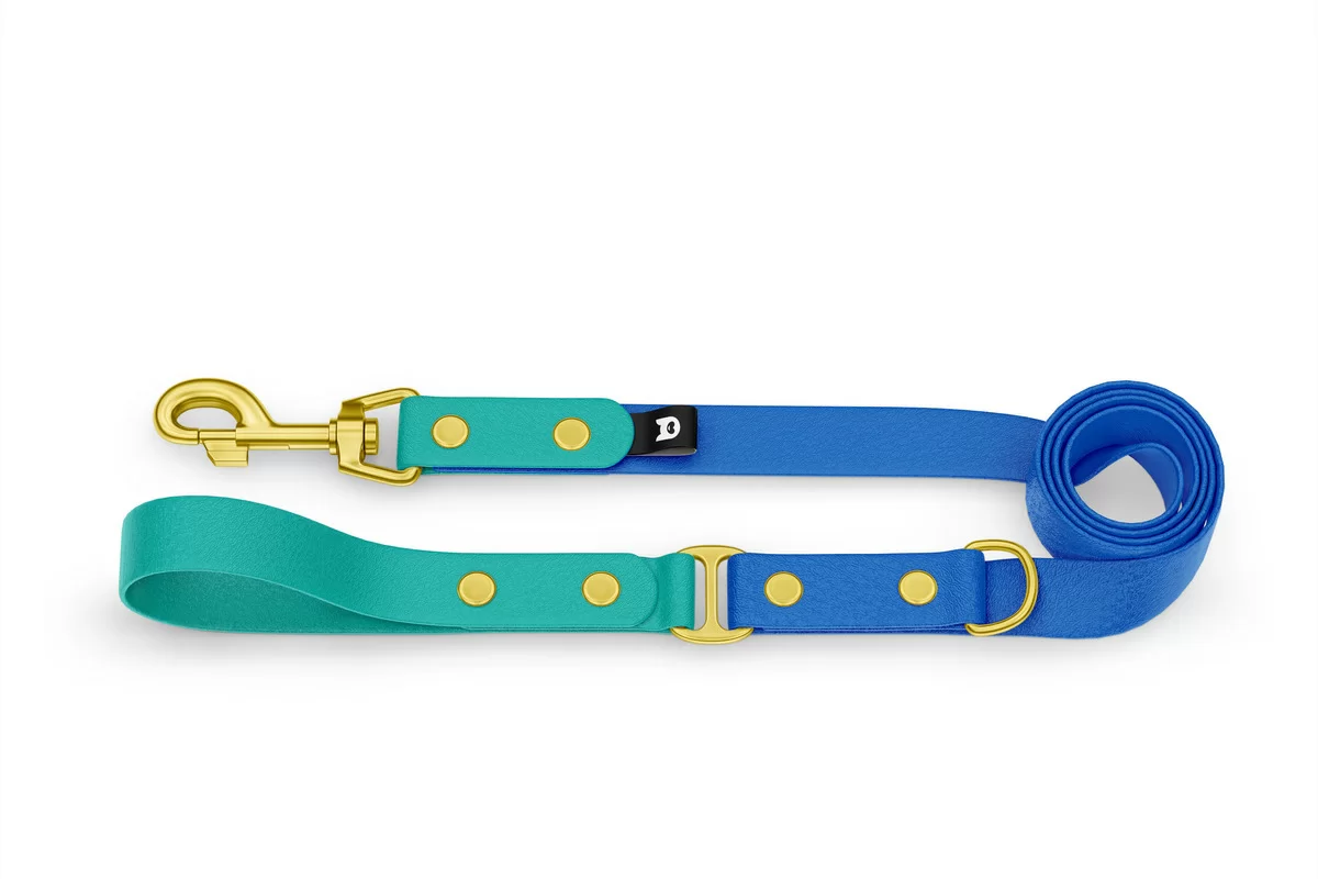 Dog Leash Duo: Pastel green & Blue with Gold components