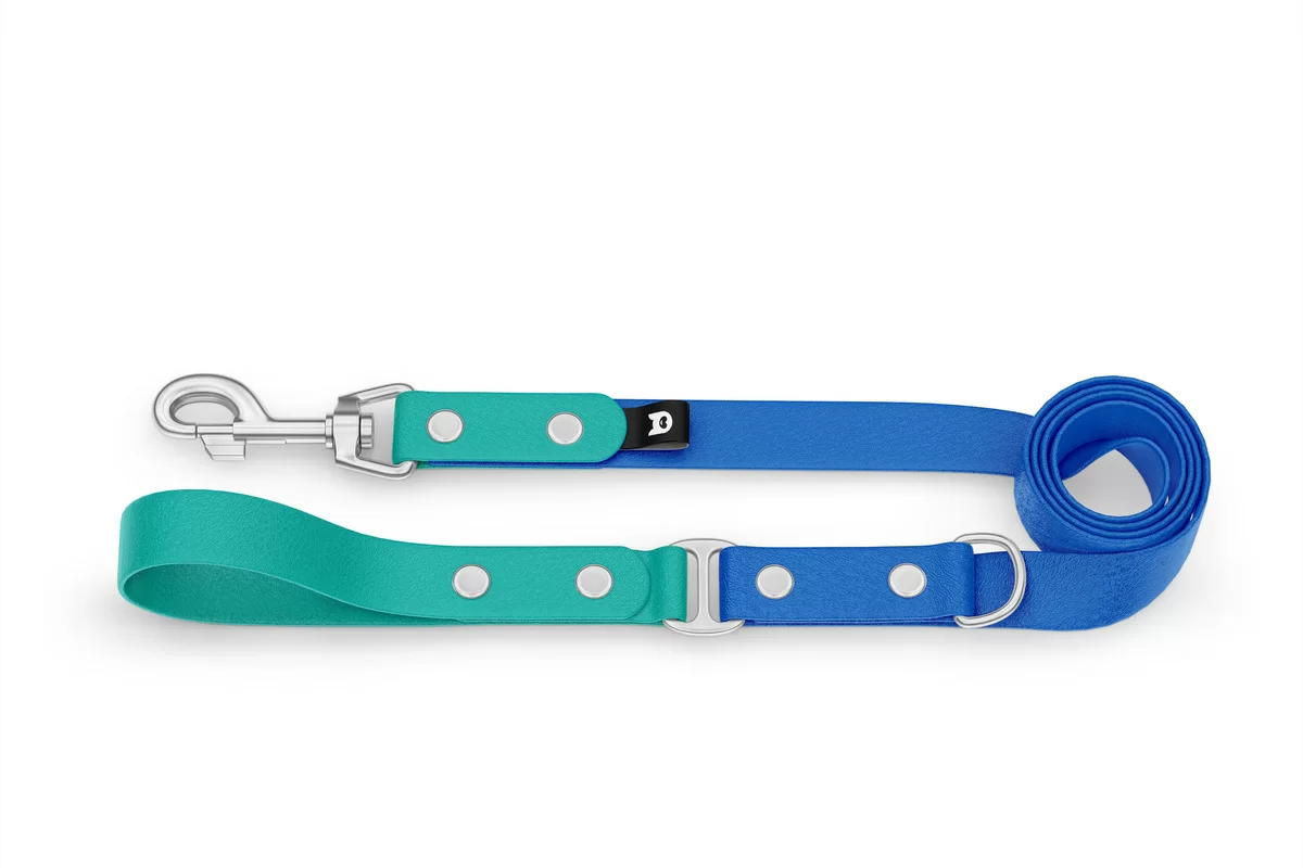 Dog Leash Duo: Pastel green & Blue with Silver components