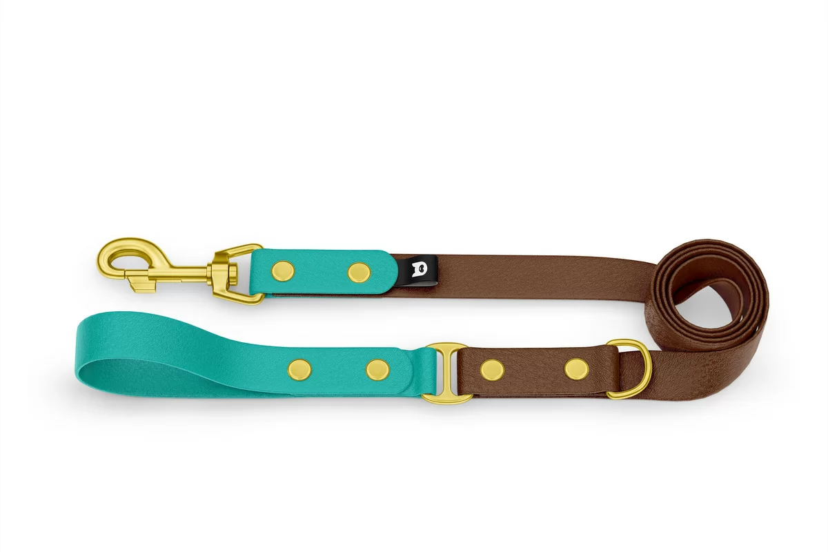 Dog Leash Duo: Pastel green & Dark brown with Gold components