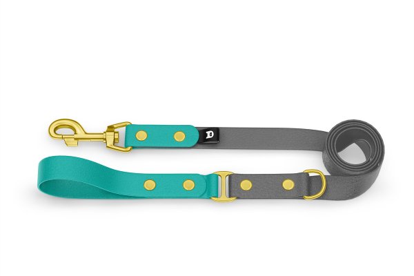 Dog Leash Duo: Pastel green & Gray with Gold components