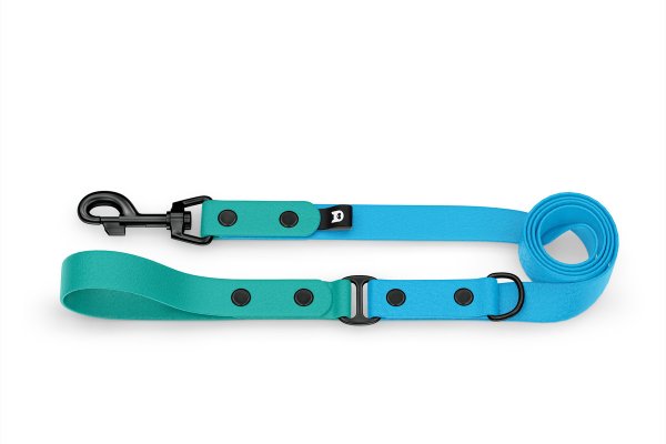 Dog Leash Duo: Pastel green & Light blue with Black components