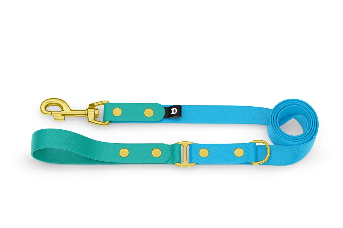 Dog Leash Duo: Pastel green & Light blue with Gold components