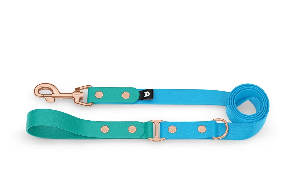 Dog Leash Duo: Pastel green & Light blue with Rosegold components