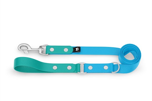 Dog Leash Duo: Pastel green & Light blue with Silver components