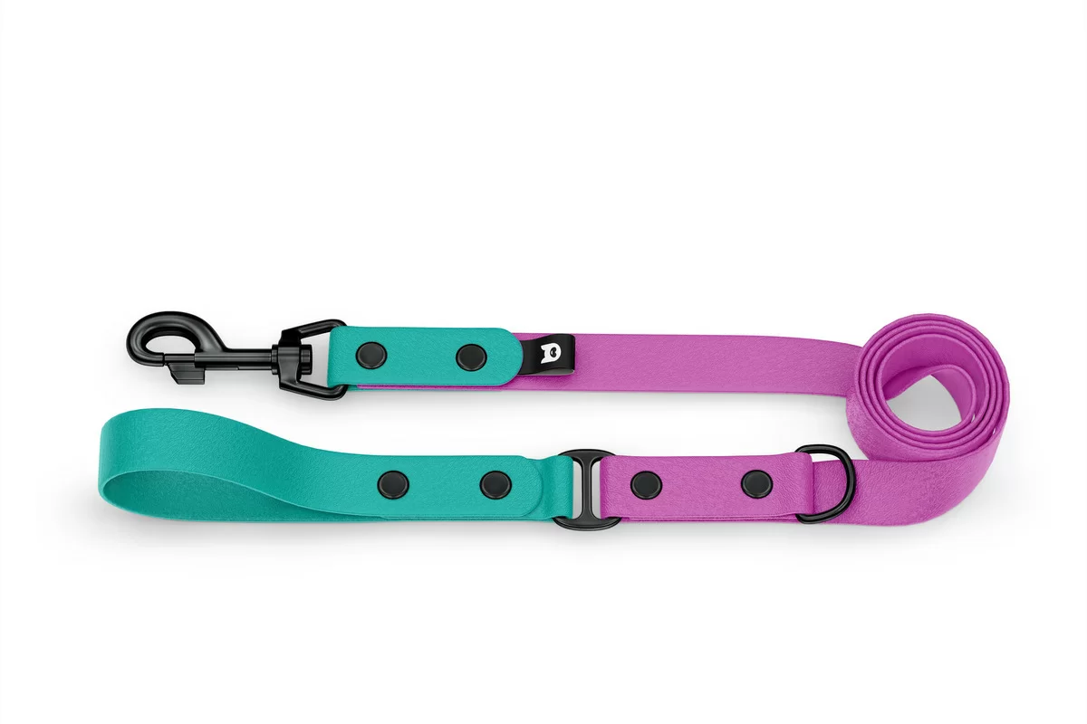 Dog Leash Duo: Pastel green & Light purple with Black components