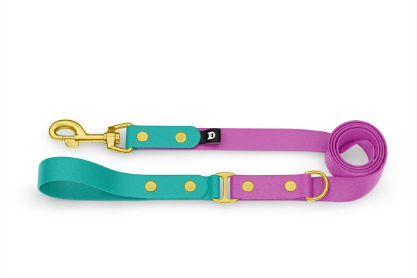 Dog Leash Duo: Pastel green & Light purple with Gold components