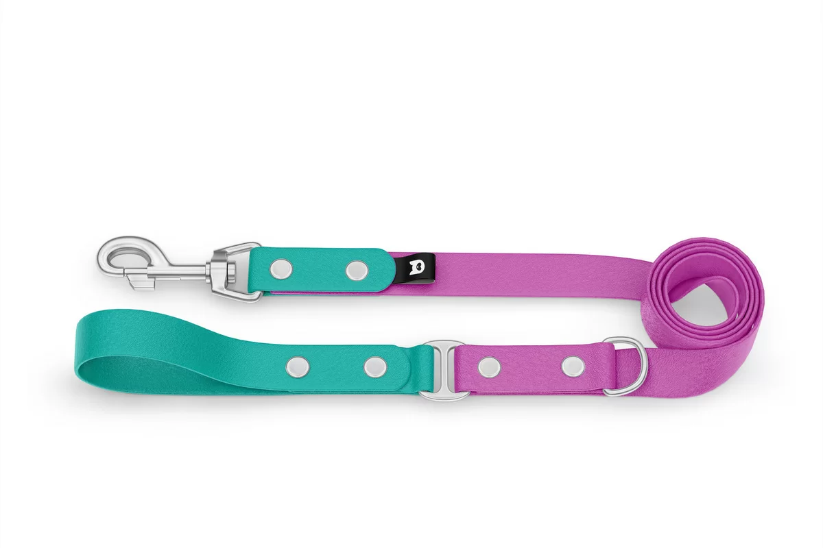 Dog Leash Duo: Pastel green & Light purple with Silver components