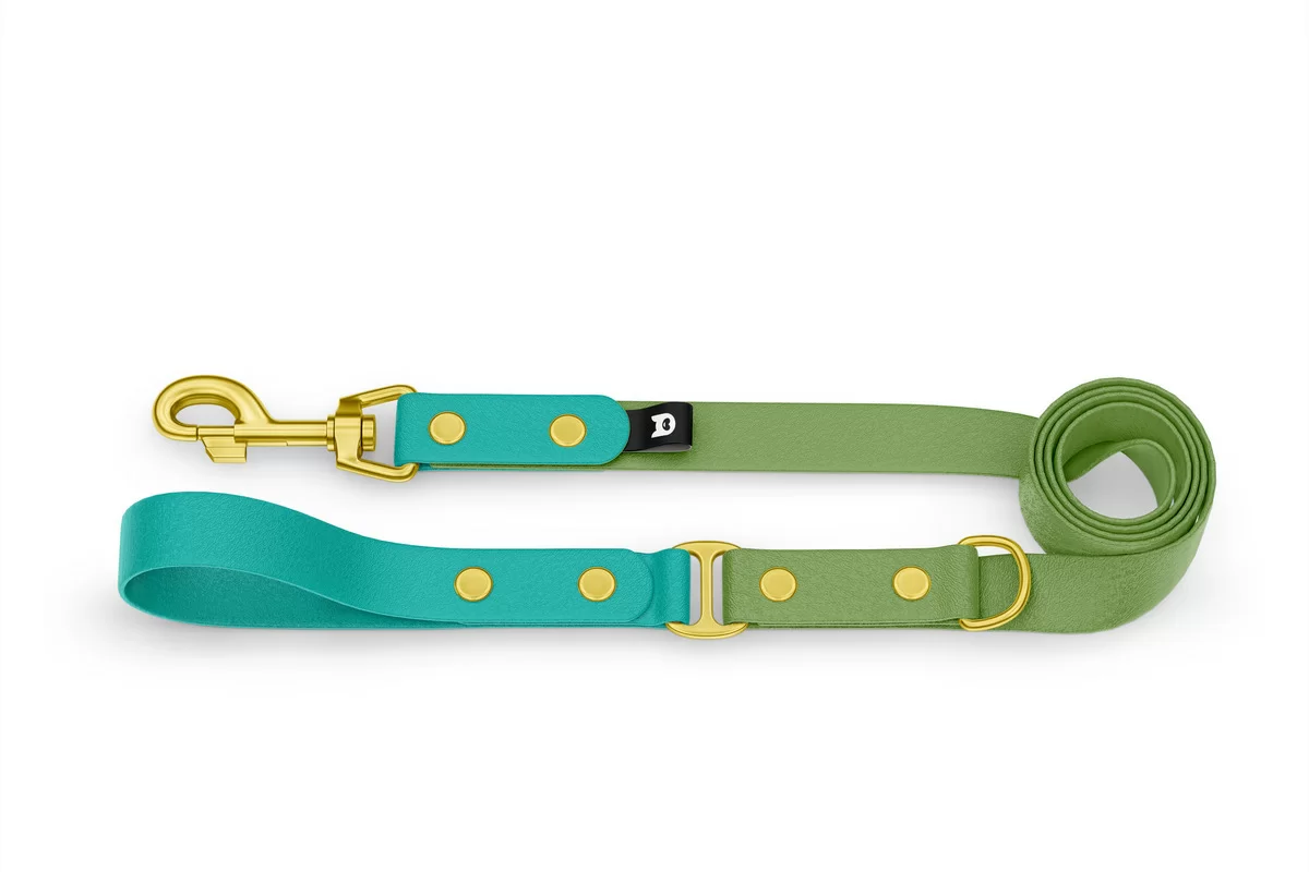 Dog Leash Duo: Pastel green & Olive with Gold components
