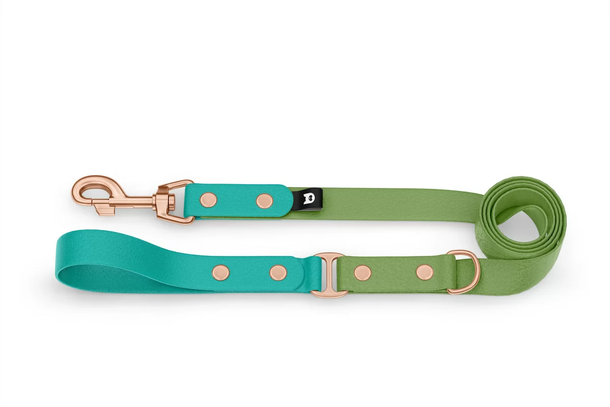 Dog Leash Duo: Pastel green & Olive with Rosegold components