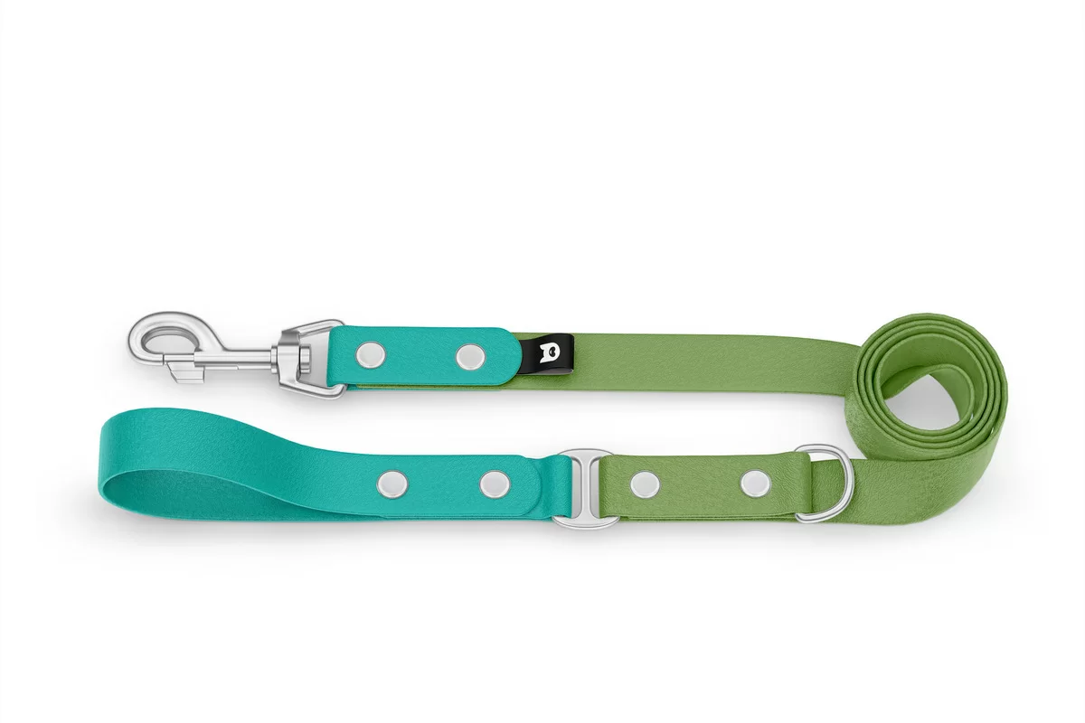 Dog Leash Duo: Pastel green & Olive with Silver components