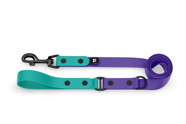 Dog Leash Duo: Pastel green & Purple with Black components