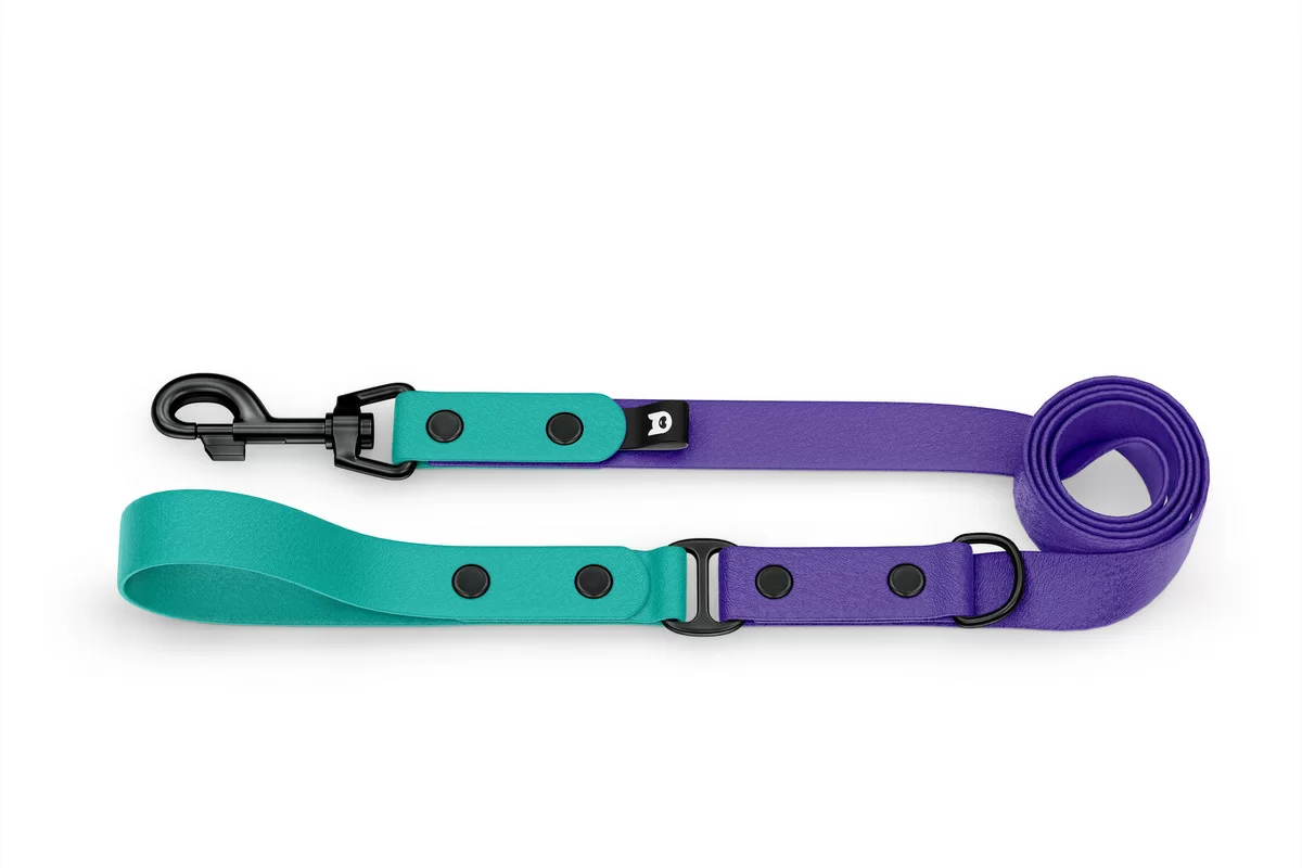 Dog Leash Duo: Pastel green & Purple with Black components