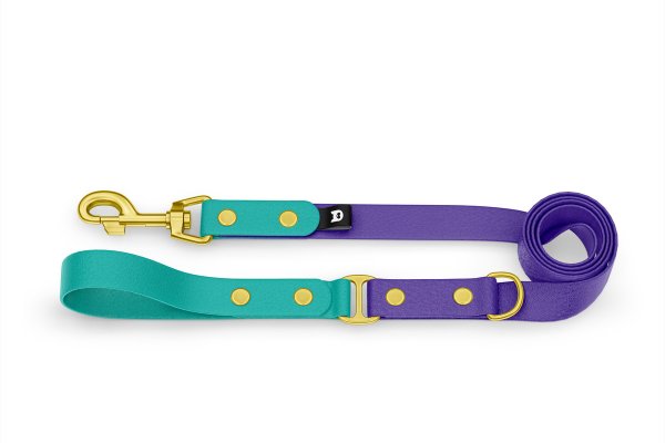 Dog Leash Duo: Pastel green & Purple with Gold components