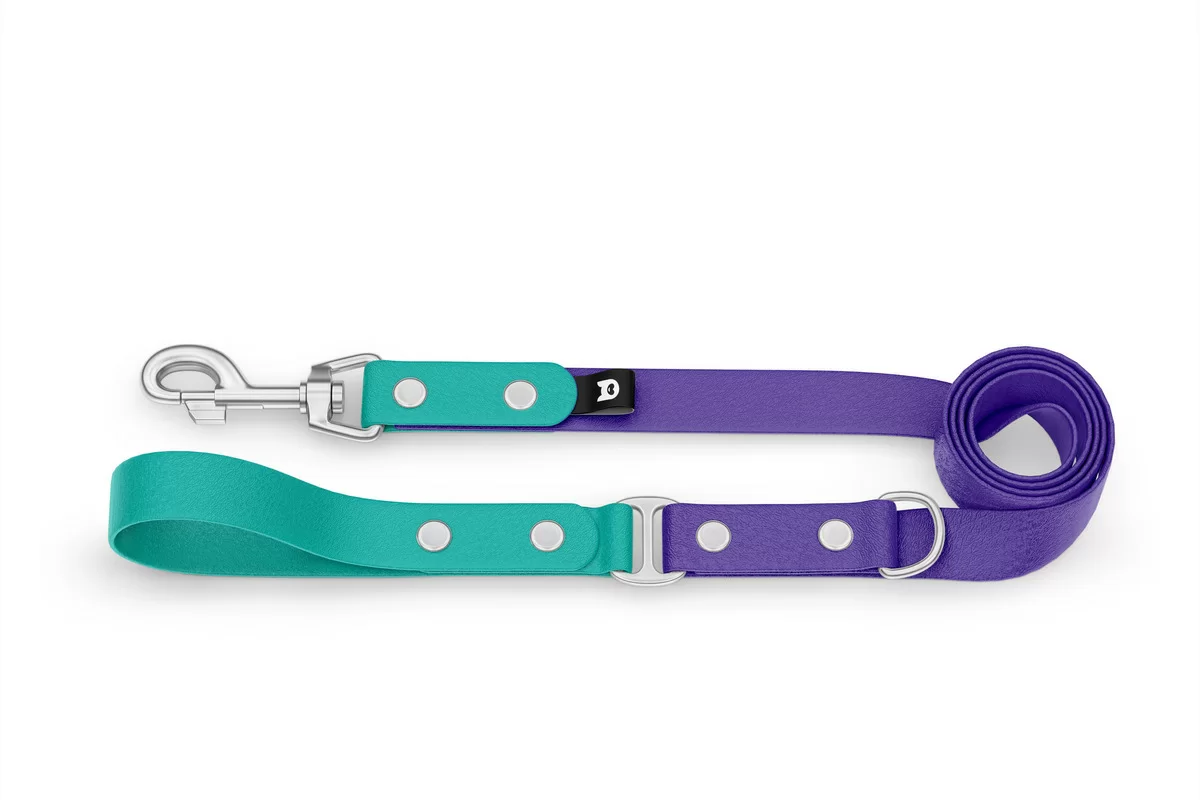 Dog Leash Duo: Pastel green & Purple with Silver components