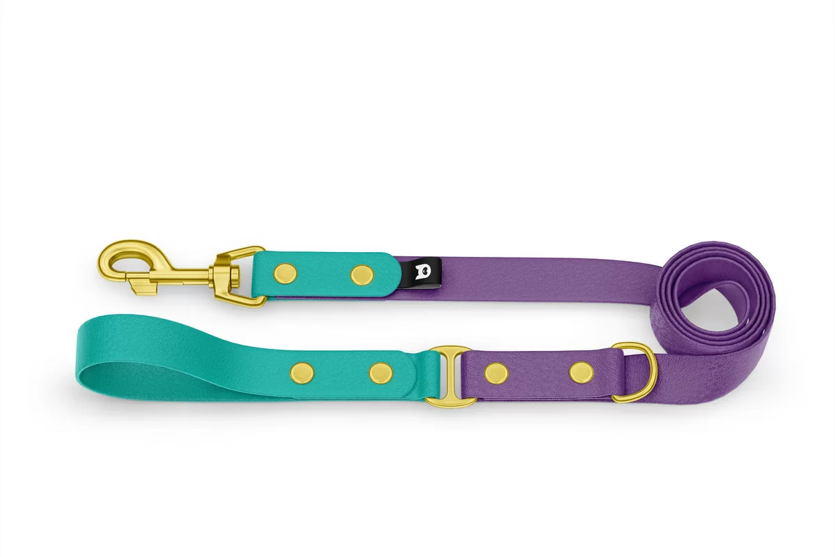 Dog Leash Duo: Pastel green & Purpur with Gold components