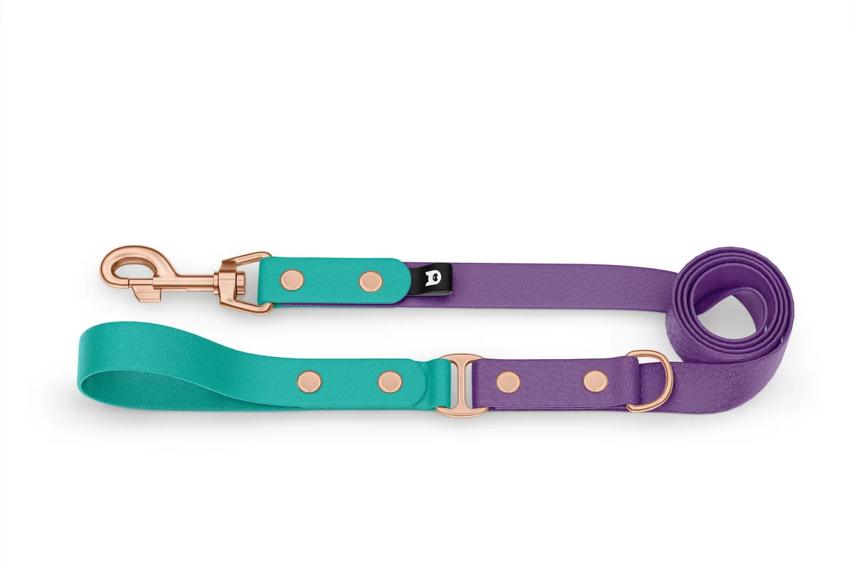 Dog Leash Duo: Pastel green & Purpur with Rosegold components