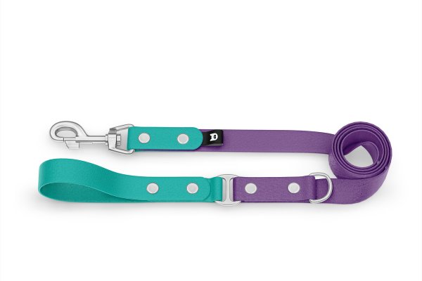 Dog Leash Duo: Pastel green & Purpur with Silver components