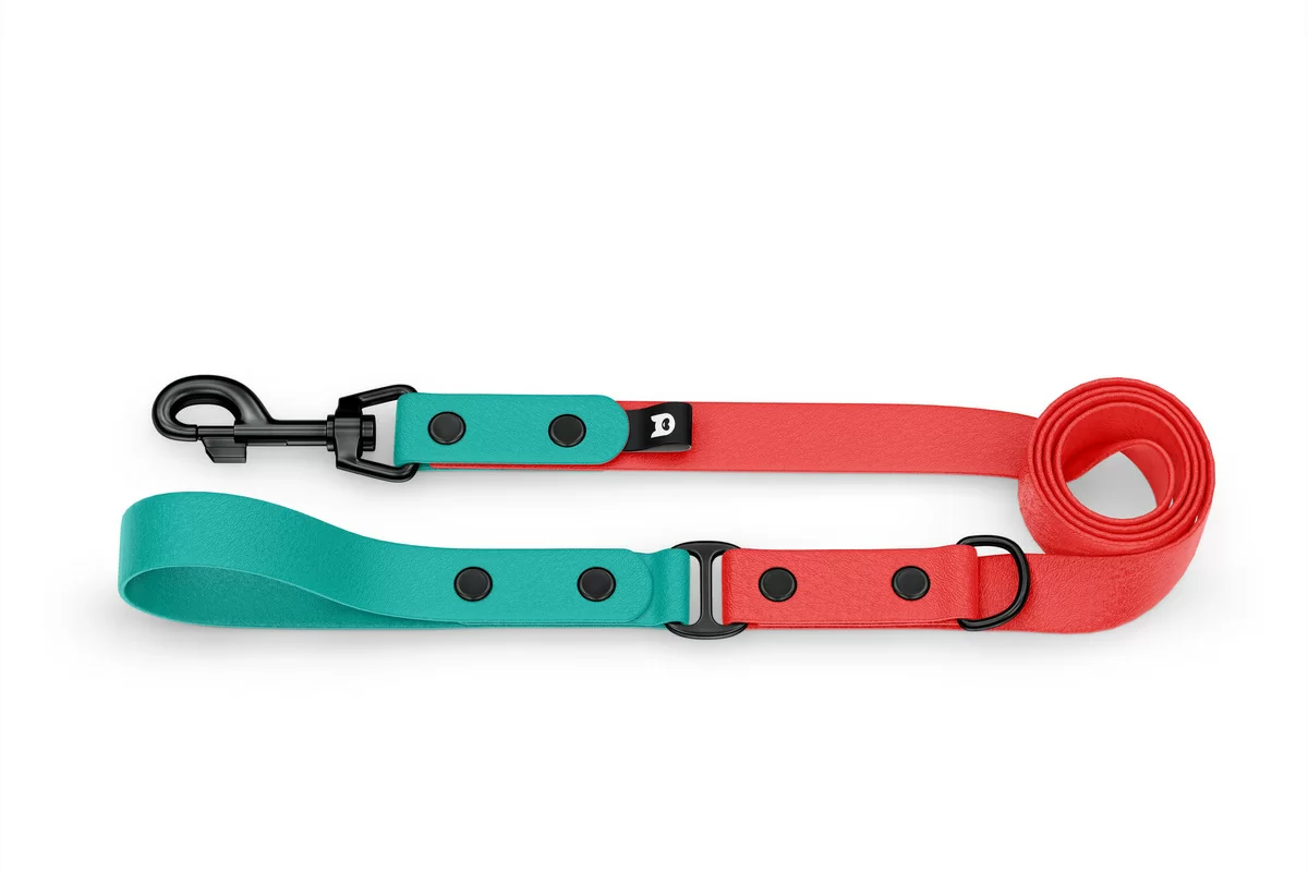 Dog Leash Duo: Pastel green & Red with Black components
