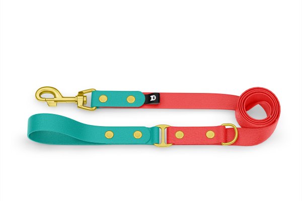 Dog Leash Duo: Pastel green & Red with Gold components
