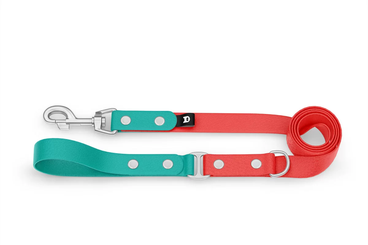 Dog Leash Duo: Pastel green & Red with Silver components