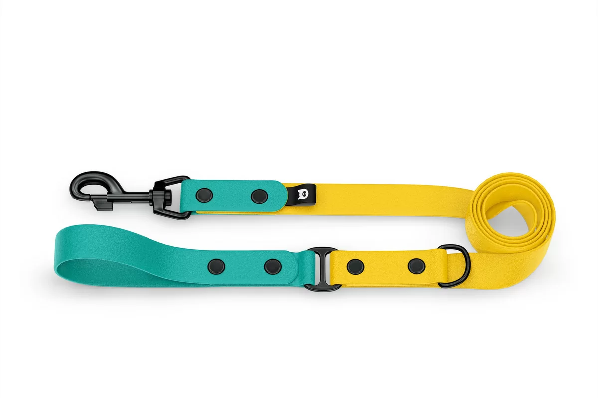 Dog Leash Duo: Pastel green & Yellow with Black components