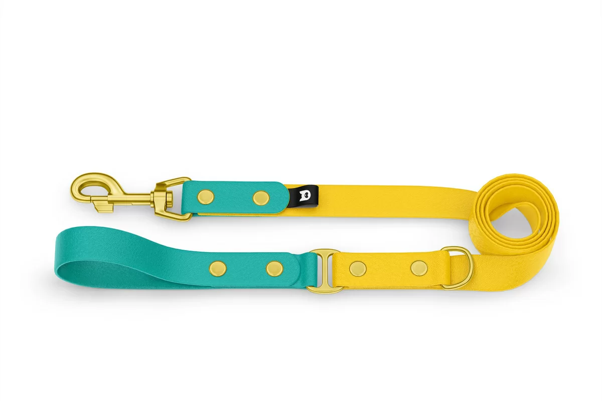 Dog Leash Duo: Pastel green & Yellow with Gold components