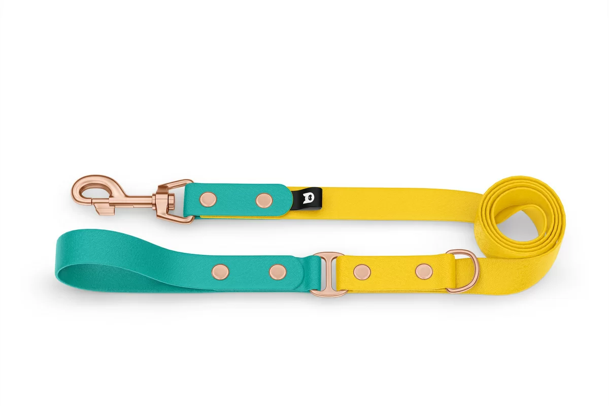 Dog Leash Duo: Pastel green & Yellow with Rosegold components