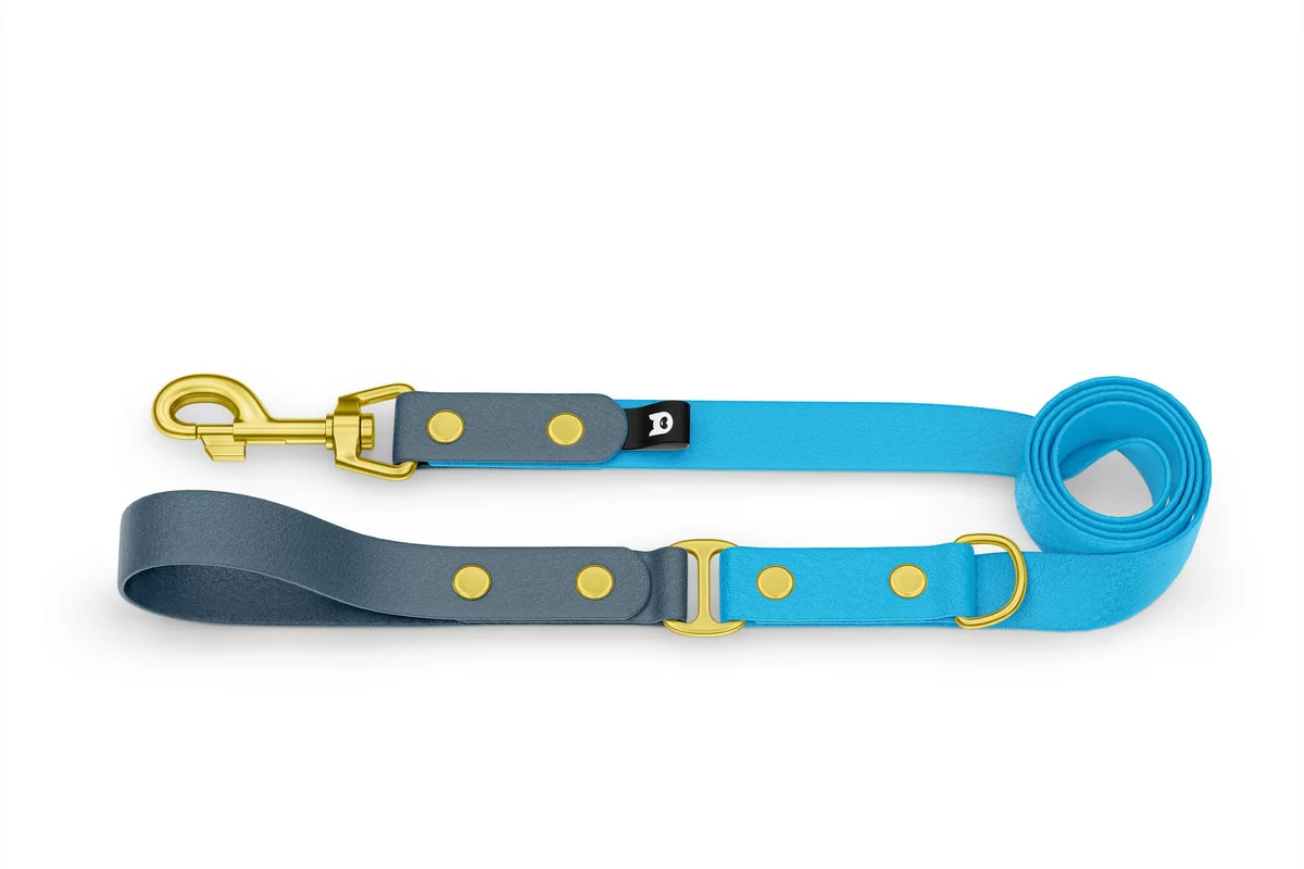 Dog Leash Duo: Petrol & Light blue with Gold components