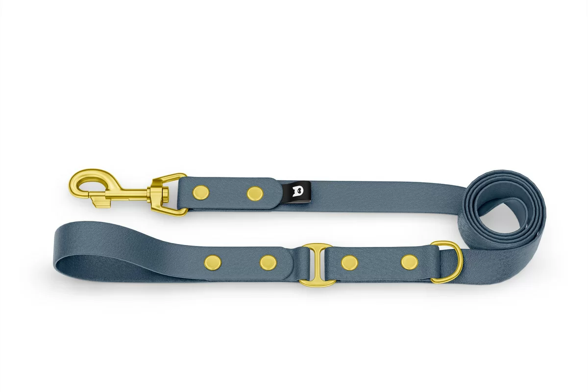 Dog Leash Duo: Petrol & Petrol with Gold components