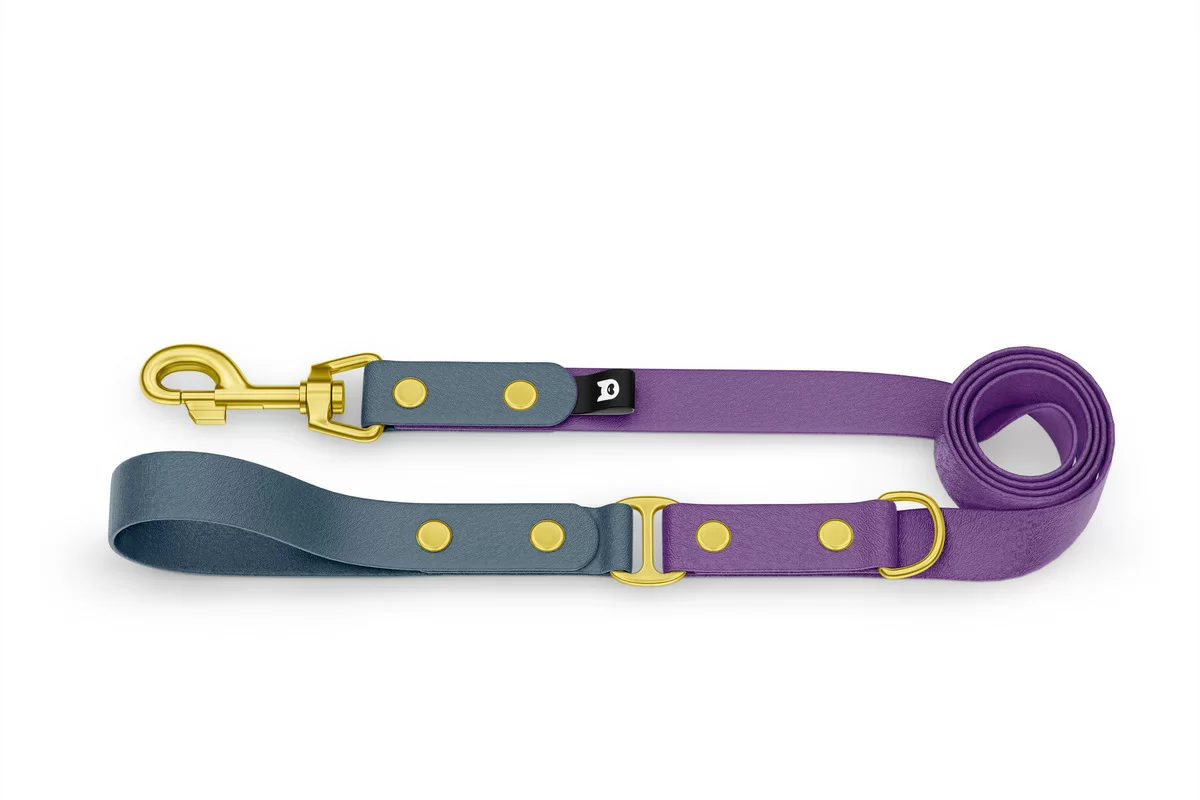 Dog Leash Duo: Petrol & Purpur with Gold components