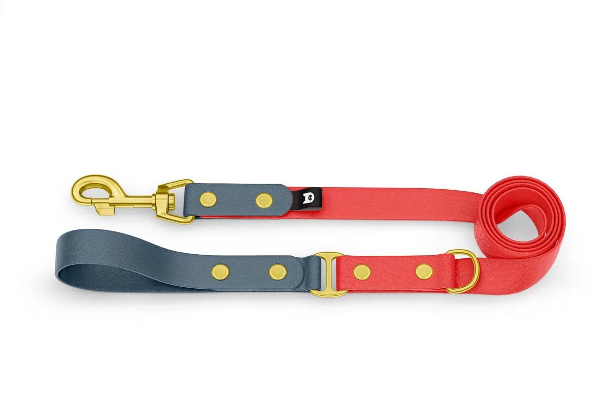Dog Leash Duo: Petrol & Red with Gold components