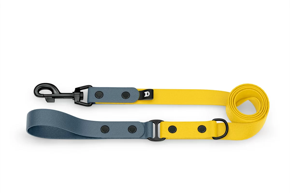 Dog Leash Duo: Petrol & Yellow with Black components