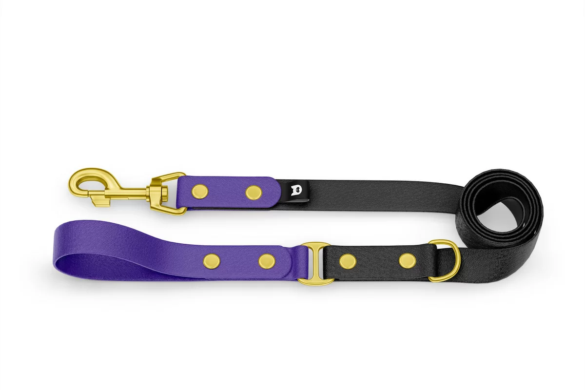 Dog Leash Duo: Purple & Black with Gold components