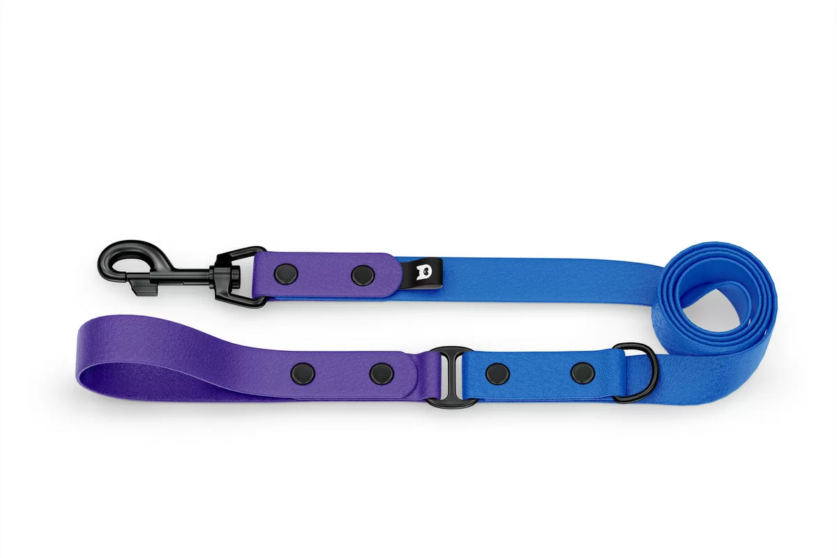 Dog Leash Duo: Purple & Blue with Black components