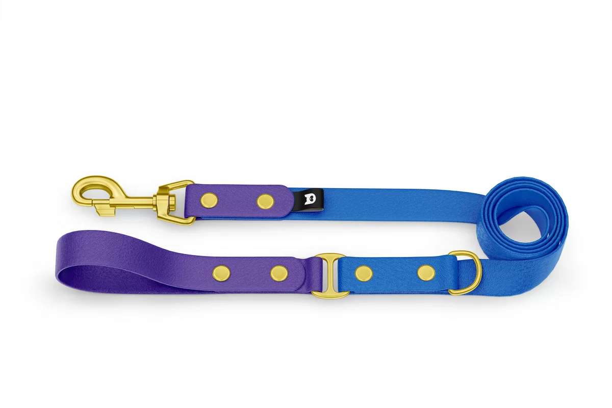 Dog Leash Duo: Purple & Blue with Gold components