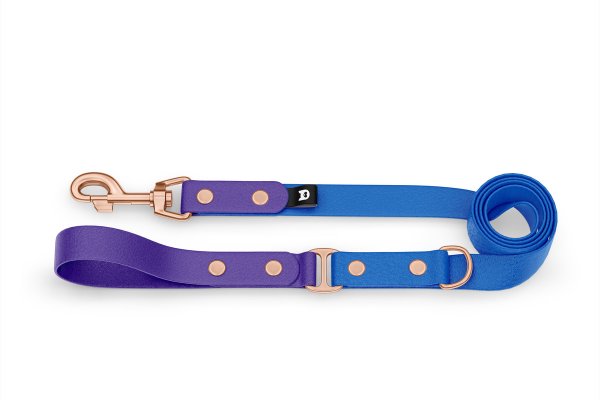 Dog Leash Duo: Purple & Blue with Rosegold components